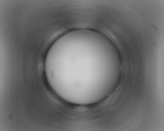 X0000114520119200910190958