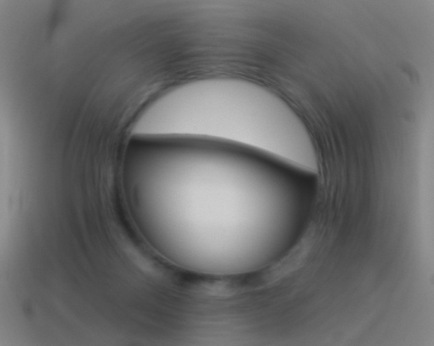 X0000114520120200910190958