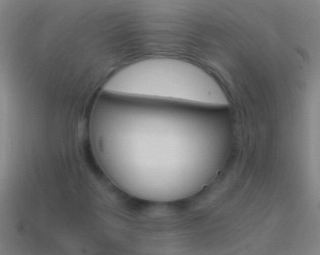 X0000114520123200910190957