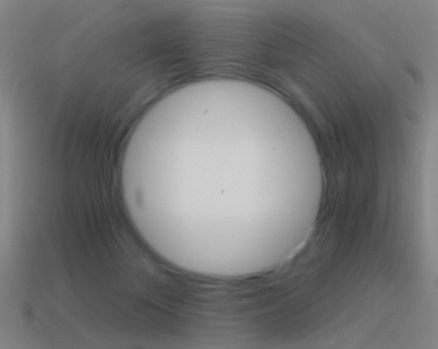 X0000114520124200910190957