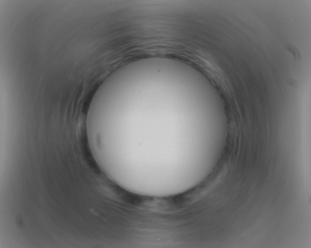 X0000114520125200910190957