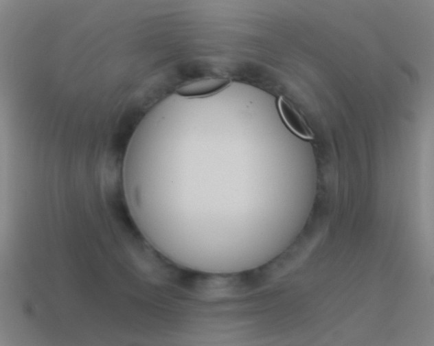 X0000114520129200910190957