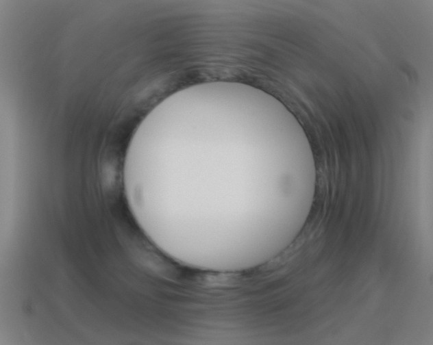 X0000114520134200910190957