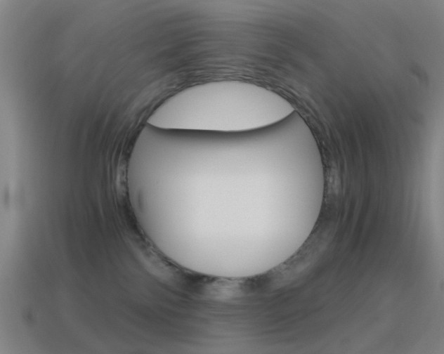 X0000114520138200910190957