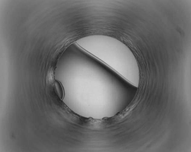 X0000114520143200910190957