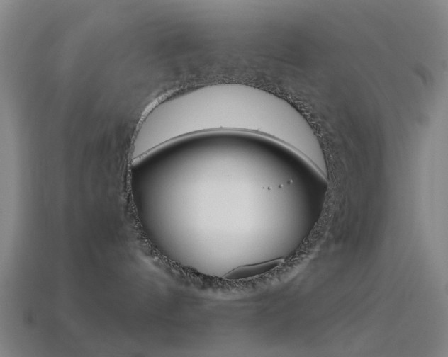 X0000114520144200910190957