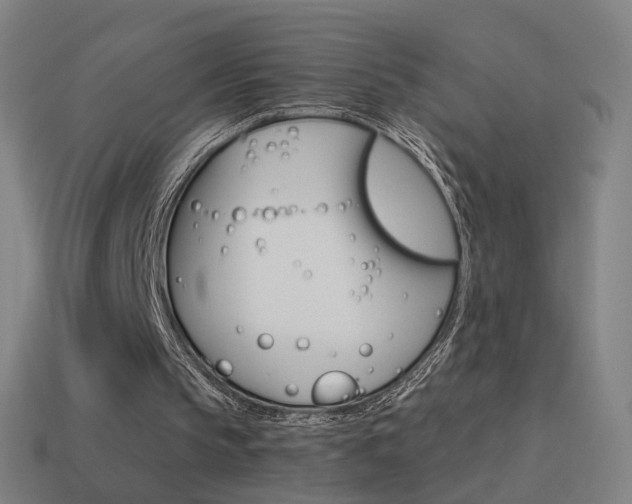 X0000114520145200910190956