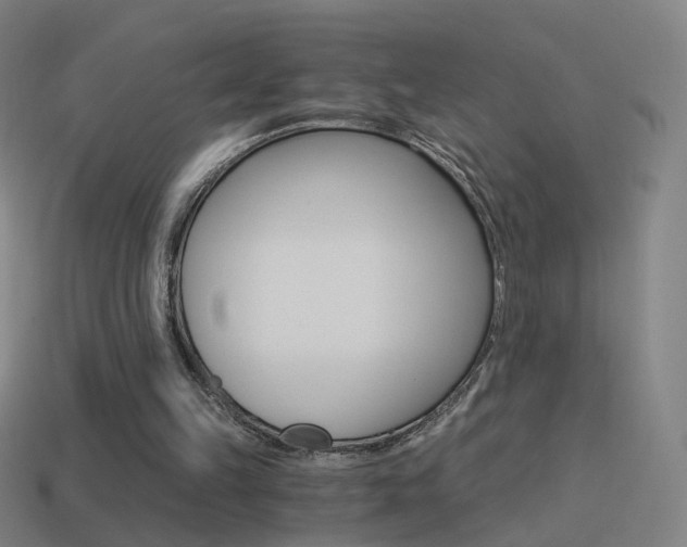 X0000114520149200910190956