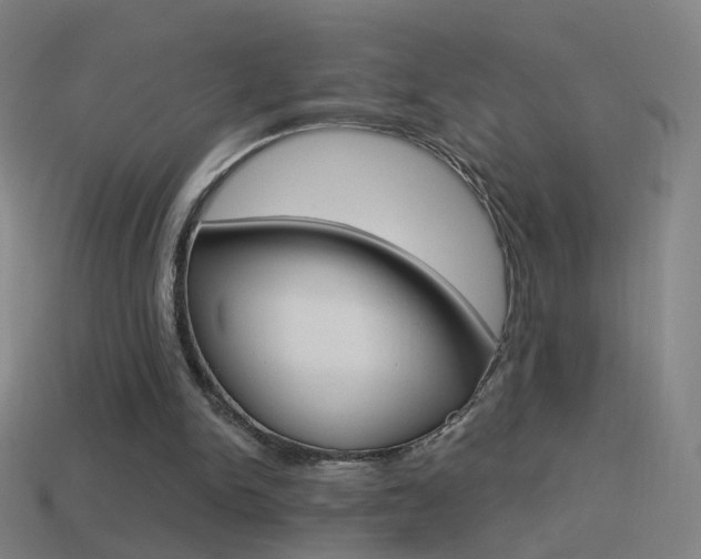 X0000114520150200910190956