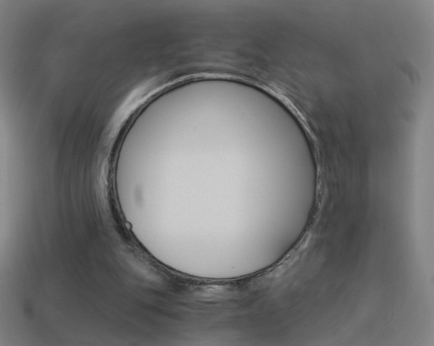 X0000114520151200910190957