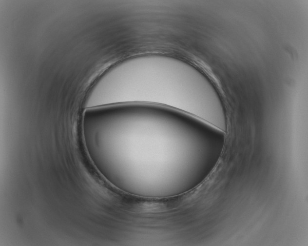 X0000114520154200910190957