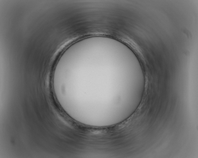 X0000114520155200910190957