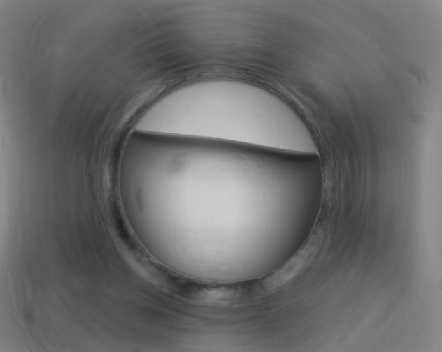X0000114520158200910190957