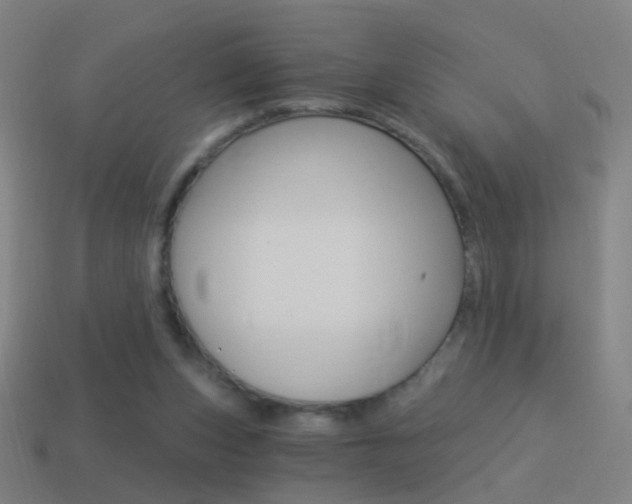 X0000114520159200910190957
