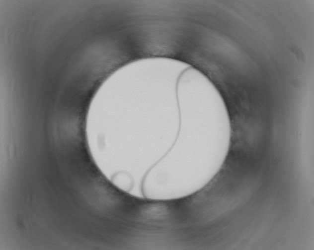X0000114520162200910190957