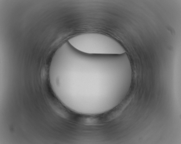 X0000114520165200910190957