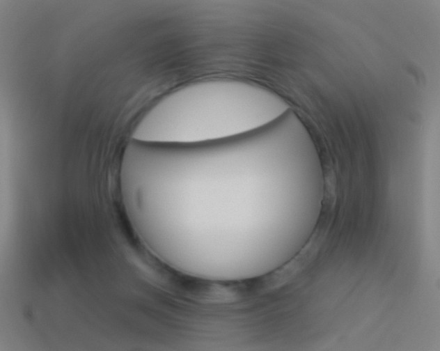 X0000114520166200910190957