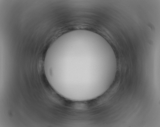 X0000114520169200910190957