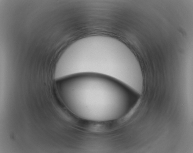 X0000114520174200910190957