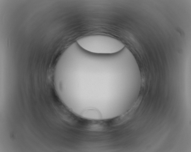 X0000114520175200910190957