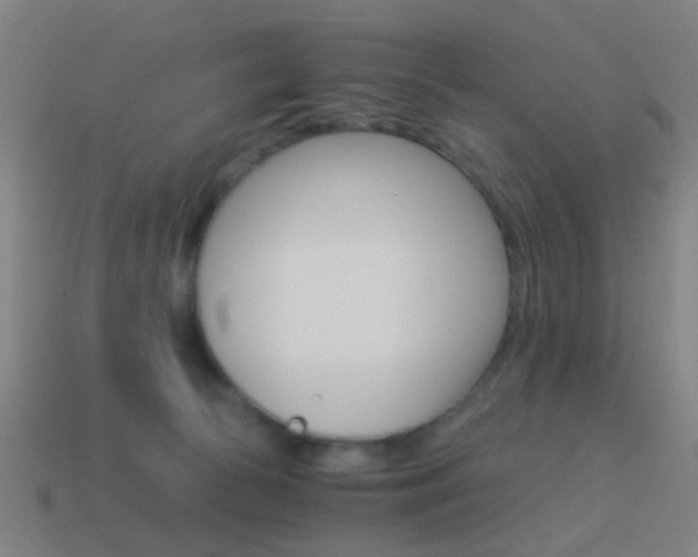 X0000114520177200910190957