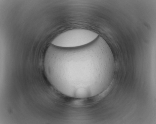 X0000114520178200910190957