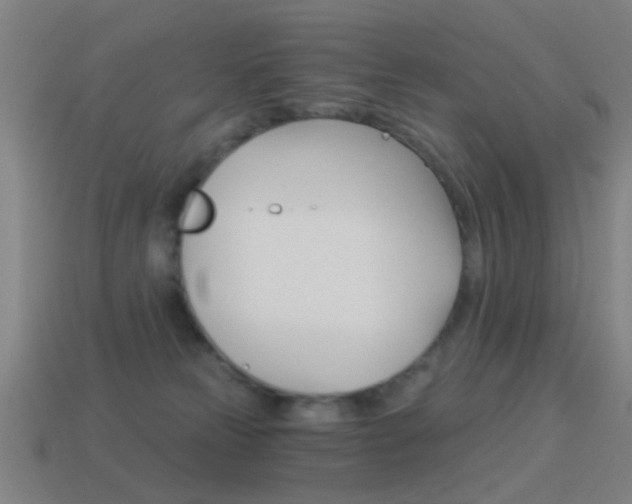 X0000114520181200910190957
