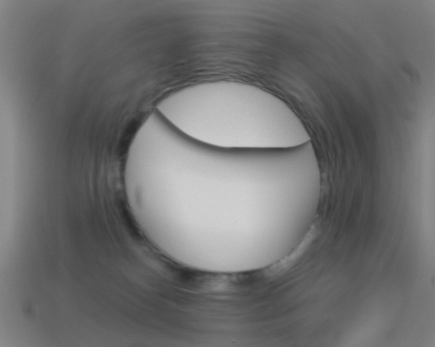 X0000114520182200910190957