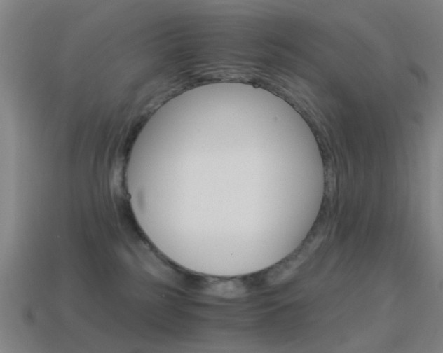 X0000114520185200910190957