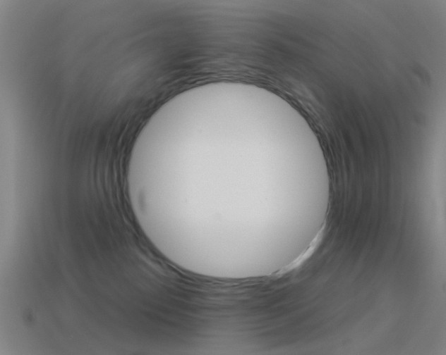 X0000114520186200910190957