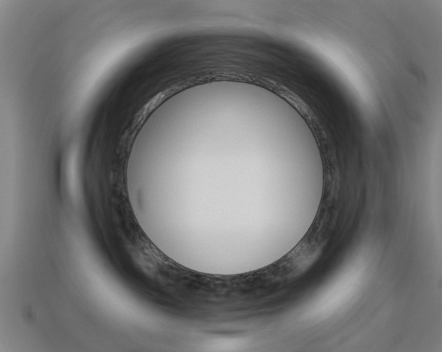 X0000114520189200910190957