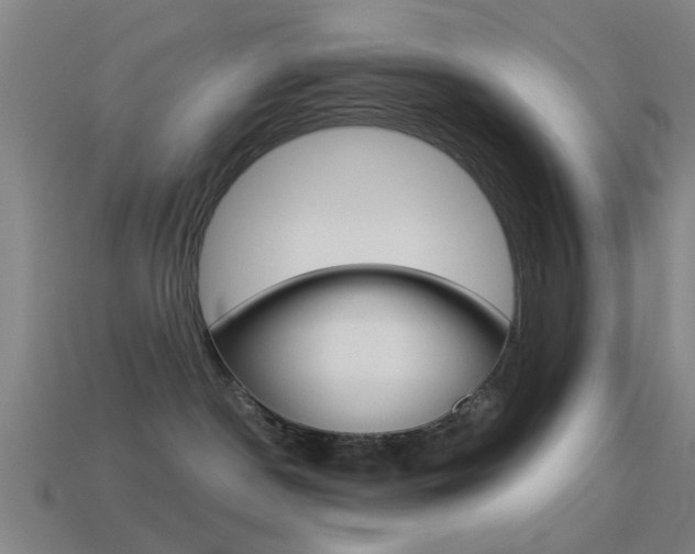 X0000114520190200910190957