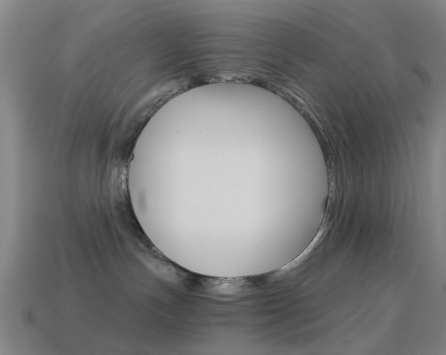 X0000114520191200910190957