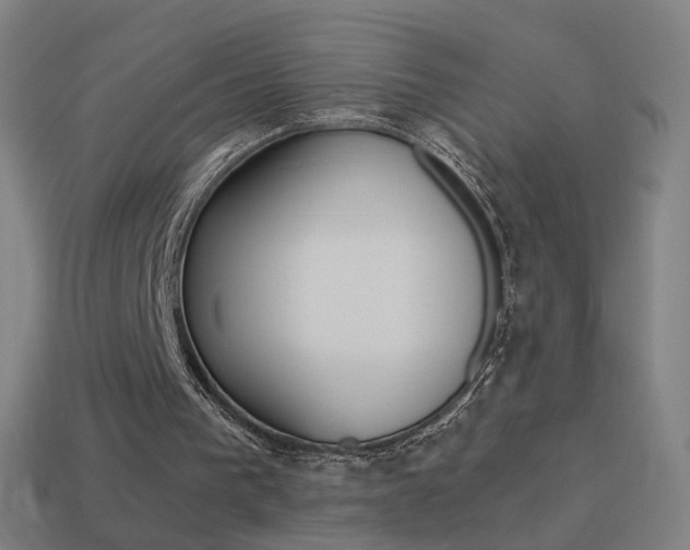 X0000114520193200910190956
