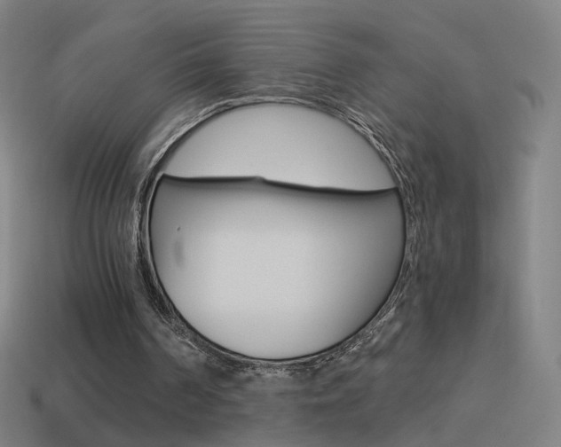 X0000114520194200910190956