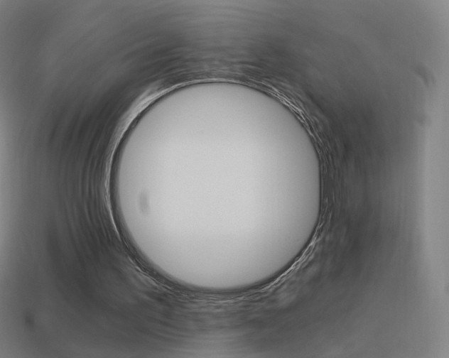 X0000114520195200910190956