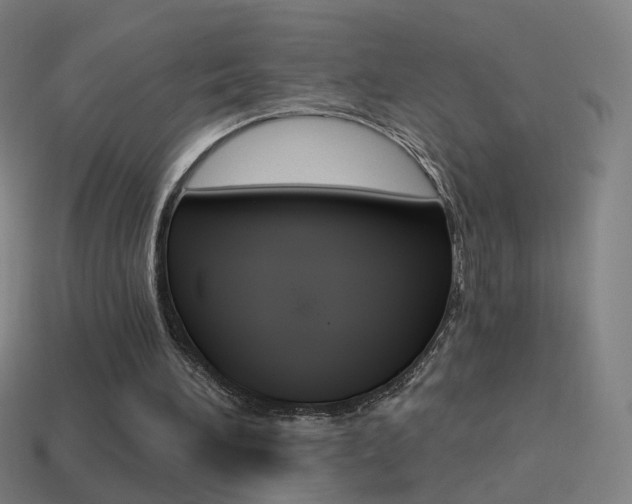 X0000114520196200910190956