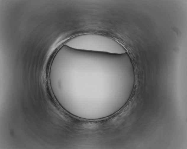 X0000114520198200910190956