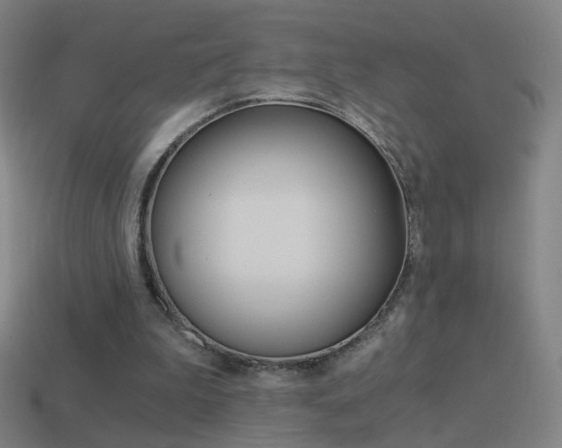 X0000114520199200910190956