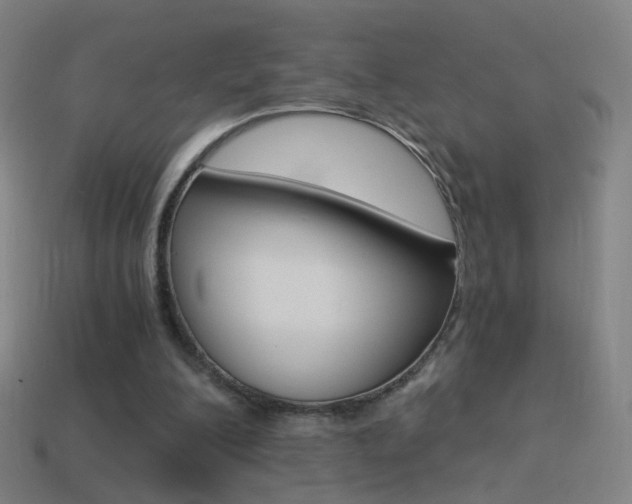X0000114520200200910190956