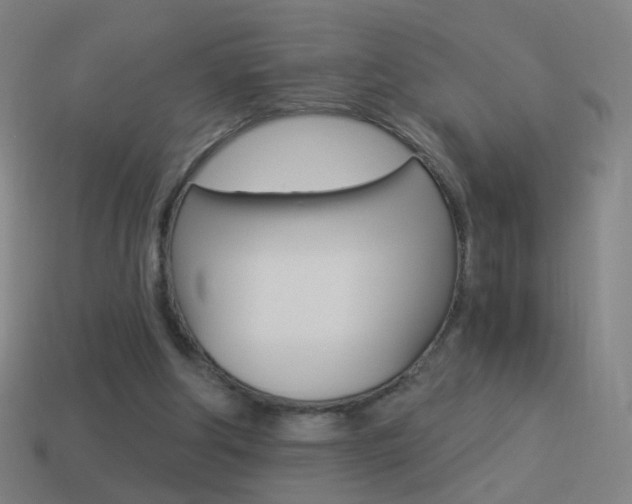 X0000114520202200910190956