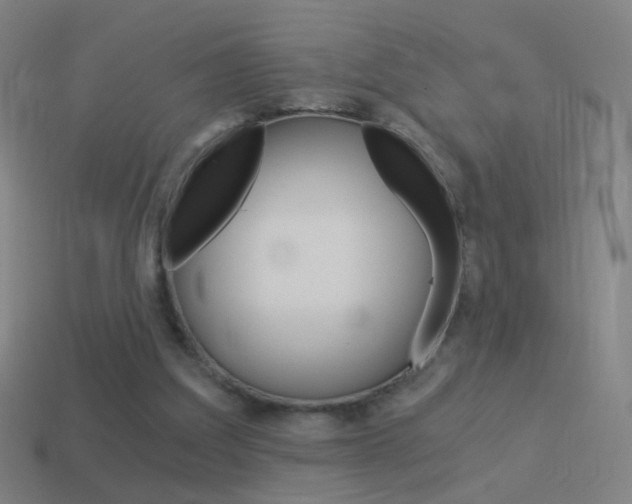 X0000114520203200910190956