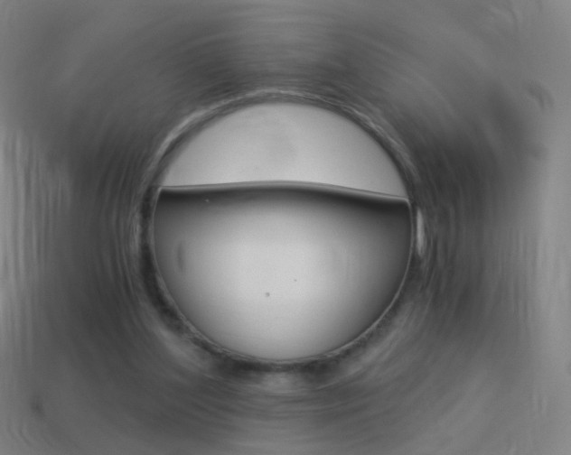 X0000114520204200910190956