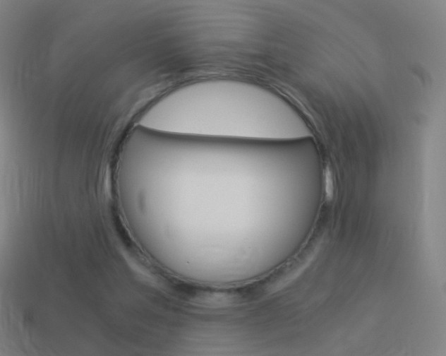 X0000114520205200910190956