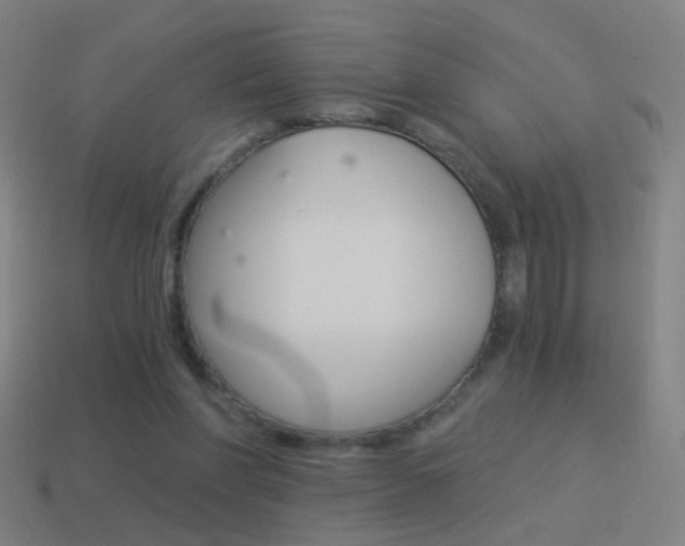 X0000114520206200910190956