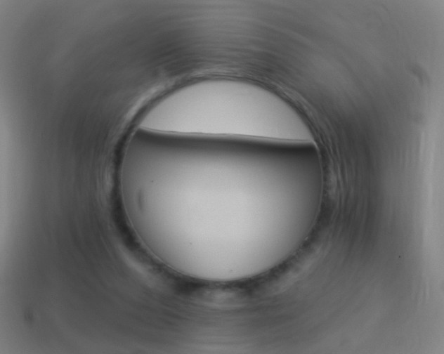 X0000114520208200910190956