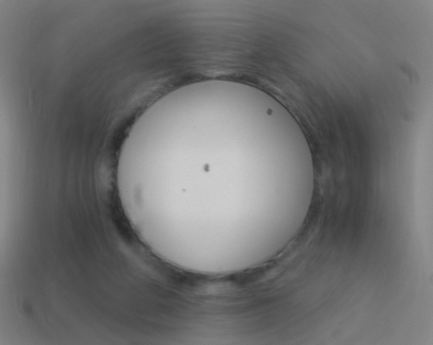 X0000114520210200910190956