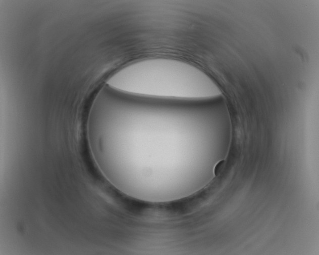 X0000114520211200910190956