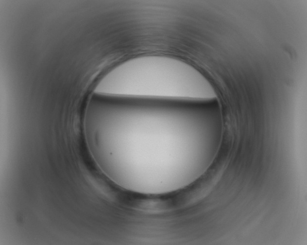 X0000114520212200910190956