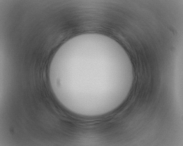X0000114520213200910190956